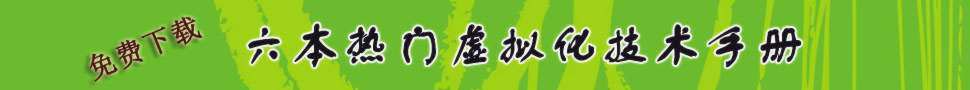 虚拟化技术手册